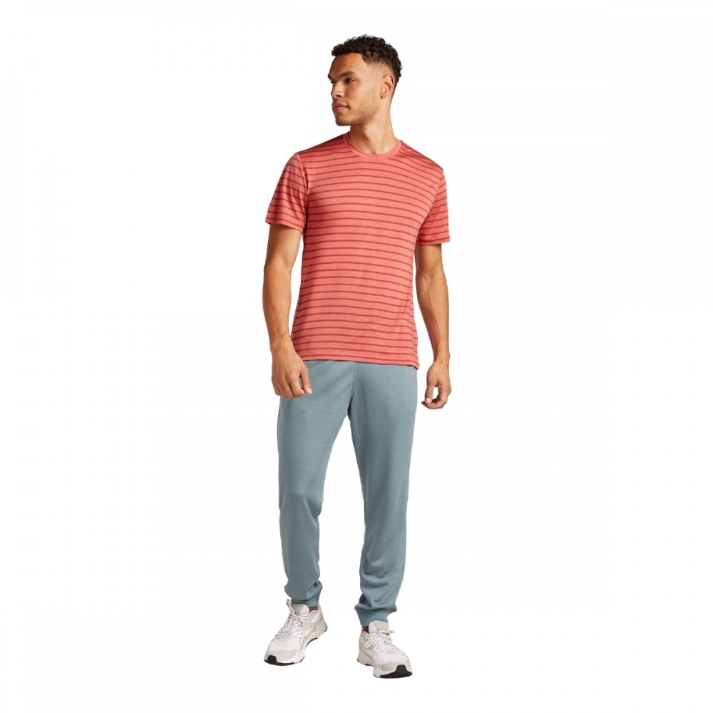 Mens Merino Blend Drayden Short Sleeve T-Shirt Stripe